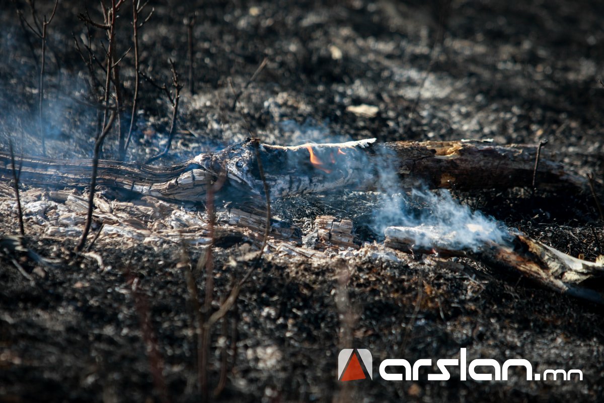 Он гарснаас хойш ой болон хээрийн нийт 283 мянган га талбай түймэрт өртжээ