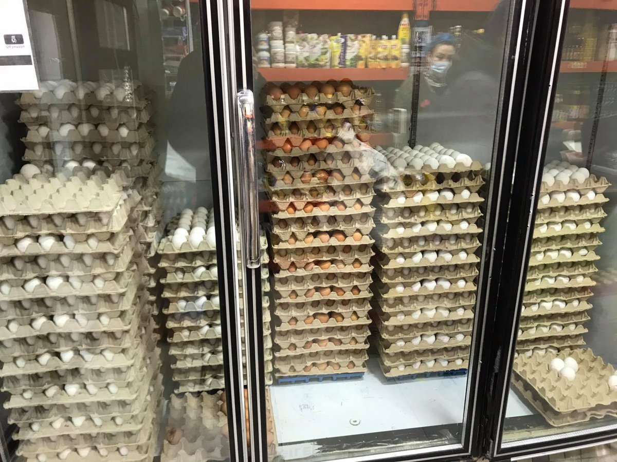 ШӨХТГ:  Өндөг нэг ширхэг нь 450-480 төгрөгийн үнэтэй байна