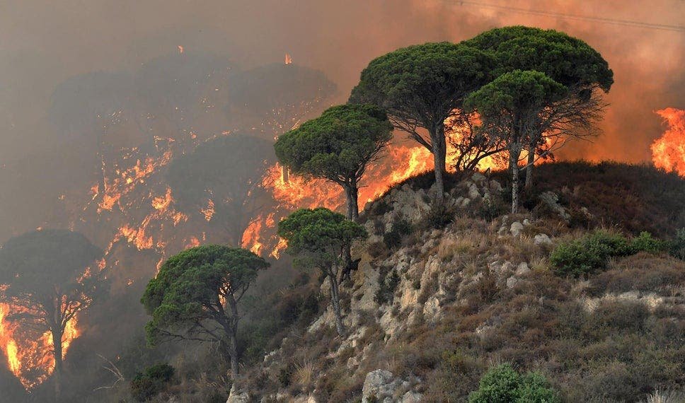 Италийн Сицили аралд агаарын хэм +48.8 градуст хүрч, гал түймэр дэгдэж байна
