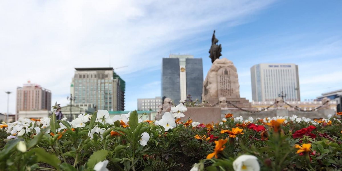ФОТО: Улаанбаатар хотын 24 байршилд цэцэг суулгаж байна