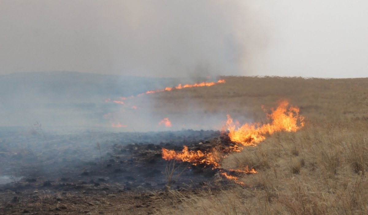 Сүхбаатар аймгийн Асгат суманд гарсан хээрийн түймэрт 200 га талбай шатжээ
