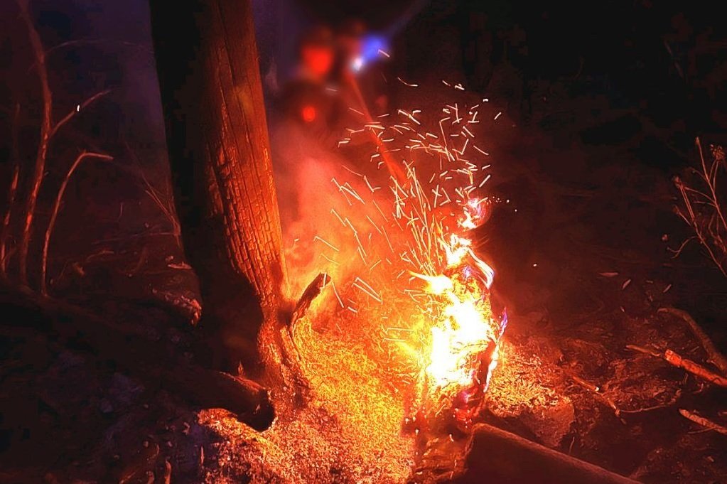 Сэлэнгэ аймгийн Ерөө сумын нутагт гарсан ойн түймрийг бүрэн унтраажээ