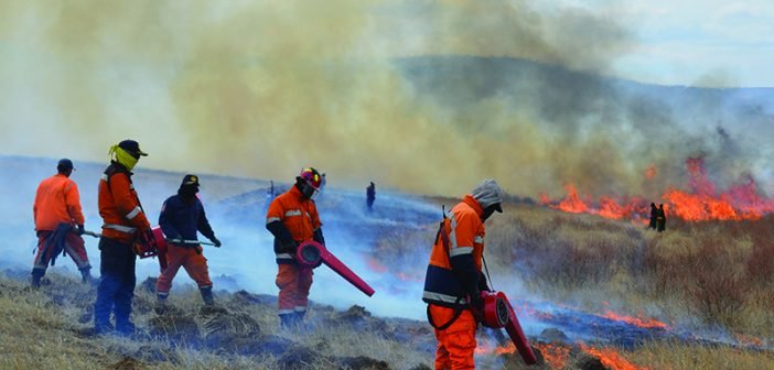 Хэнтийн Баян-Овоо, Дорнодын Матад суманд өчигдөр гарсан хээрийн түймэрт 11,300 га талбай шатжээ