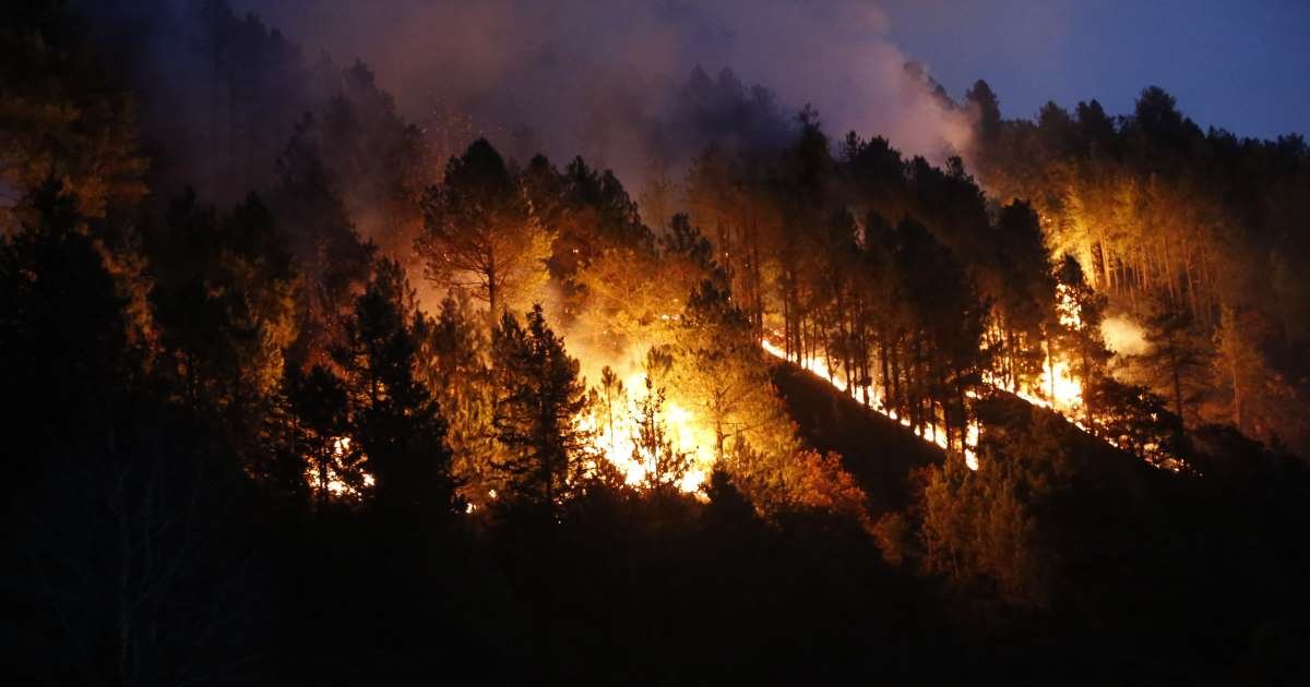 Улсын хэмжээнд 70,172 га талбай түймэрт өртөөд байна