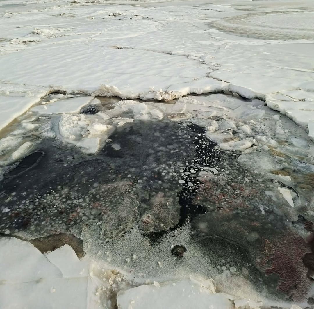 Буйр нуурт 12 настай охин,  нэг настай хүүтэйгээ живсэн гэр бүлийг аврах бүлэг хайж байна