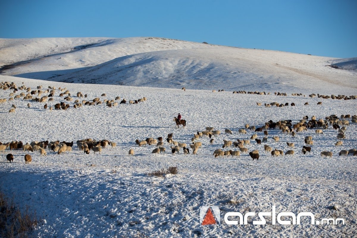 Малдаа яваад сураггүй болсон иргэдийг нэг хоногийн дараа эсэн мэнд олжээ