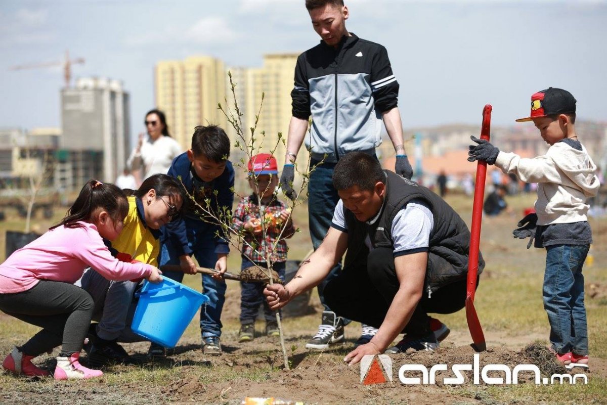 “Тэрбум мод” үндэсний хөдөлгөөний хүрээнд 127.9 сая мод тарьжээ