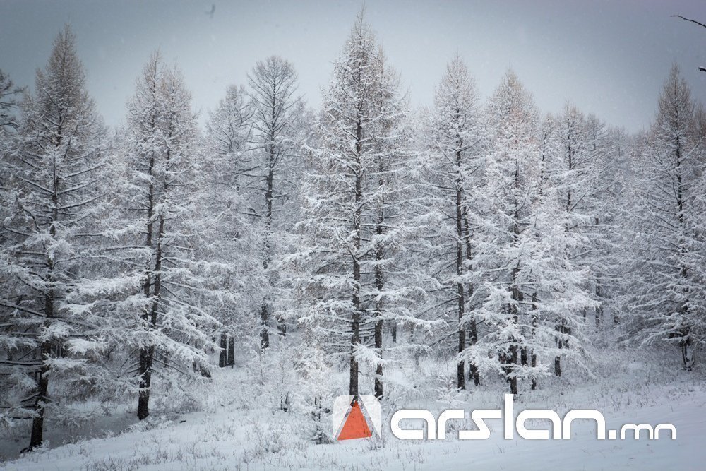 Хоёрдугаар сард нийт нутгаар олон жилийн дунджаас хүйтэн байна