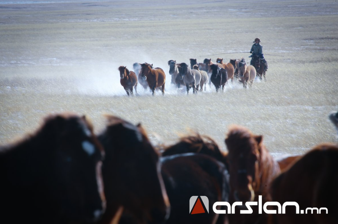 11 аймаг, 56 сумын нутгаар цагаан зудтай байна