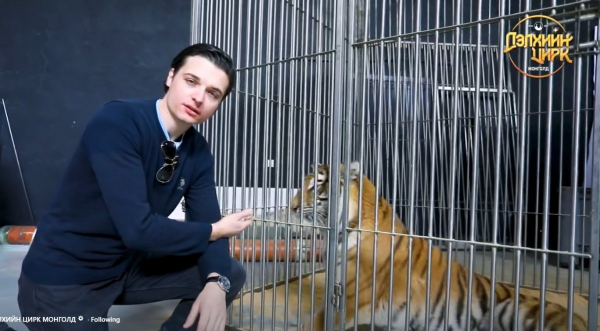 “Дэлхийн цирк Монголд-2026“ энэ сарын 18-аас эхлэн 8 өдөр АСА циркэд тоглогдоно