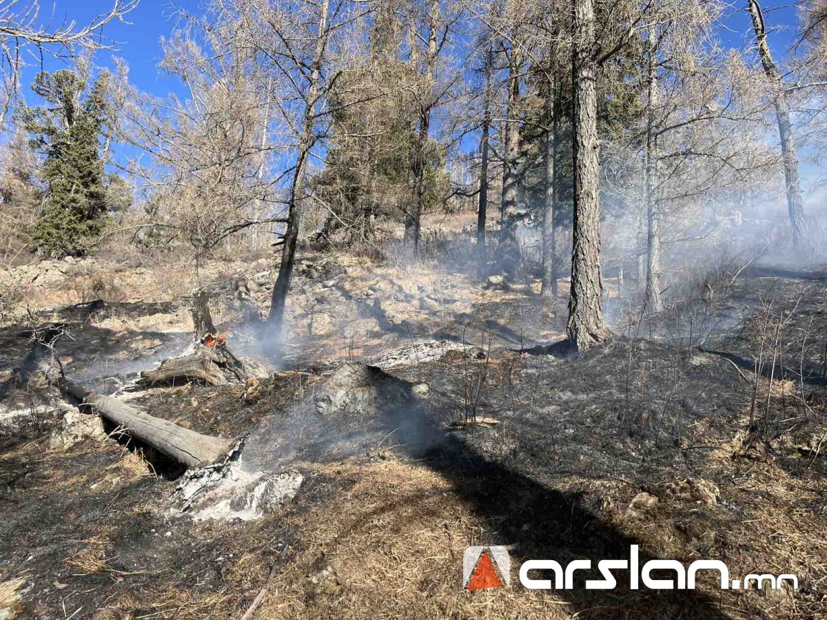 Богдхан уулын “Зүүн оргил” гэдэг газар гарсан ойн гал түймрийг бүрэн унтраалаа