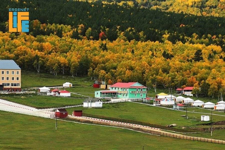 ТАНИЛЦ: 2026 онд ахмадууд хөнгөлөлттэй үнээр үйлчлүүлж болох АМРАЛТ, СУВИЛЛУУД