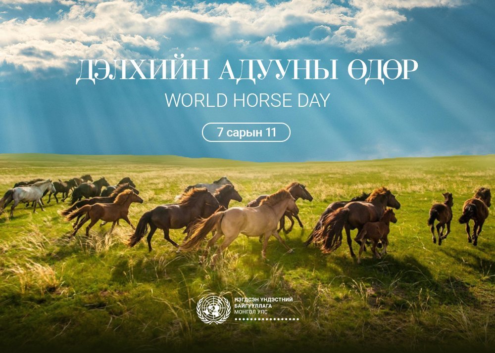 Монгол Улсын “Дэлхийн адууны өдрийн тухай“ тогтоолд 56 улс нэгджээ