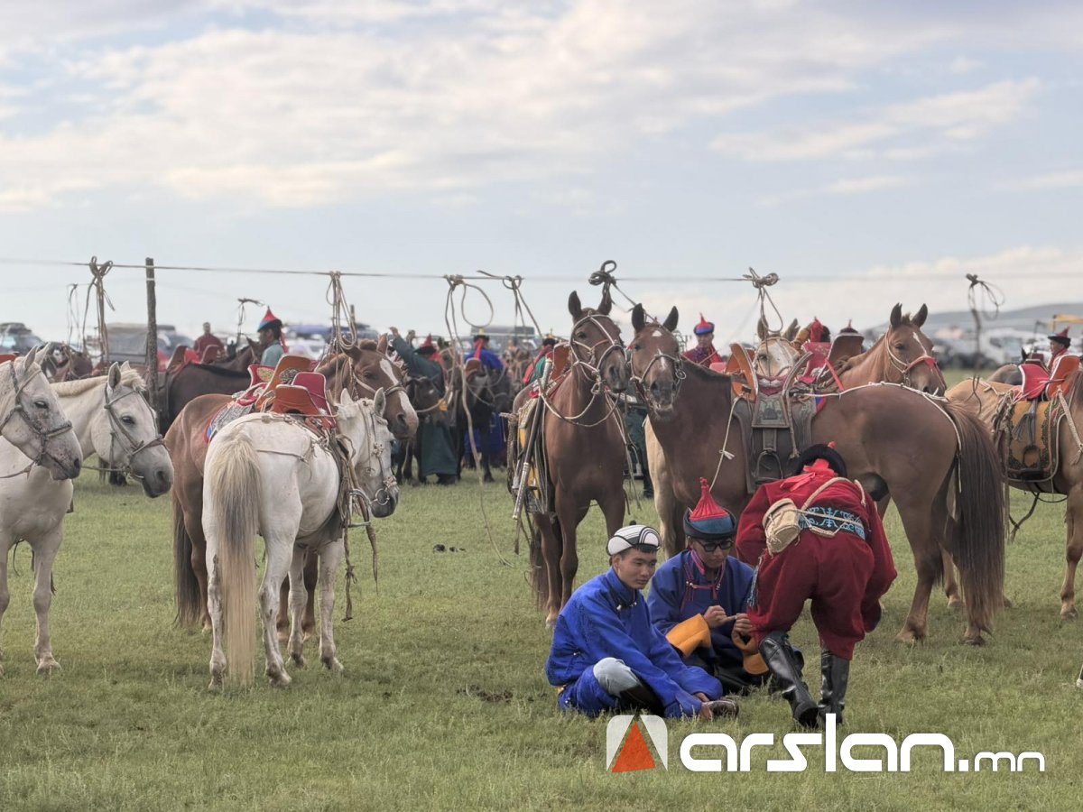 Arslan.mn