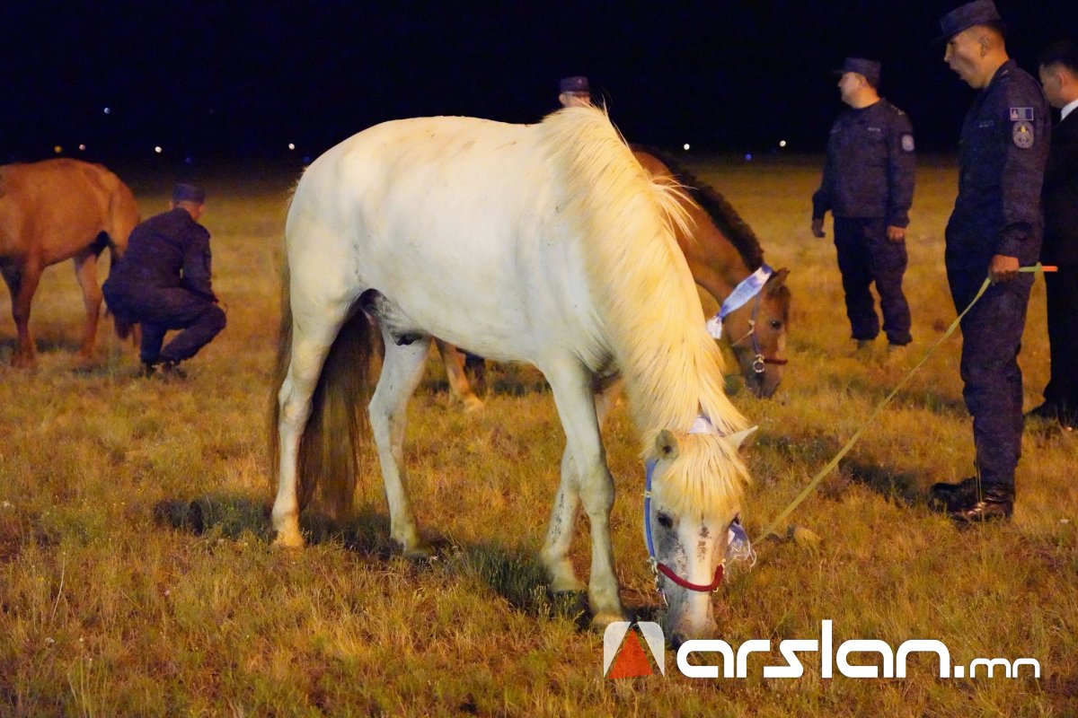 Arslan.mn