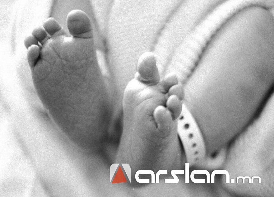 Хоёр нярайн цогцсыг 2 жил ахуйн хөргөгчид хадгалж байгаад хөдөөлүүлж байжээ