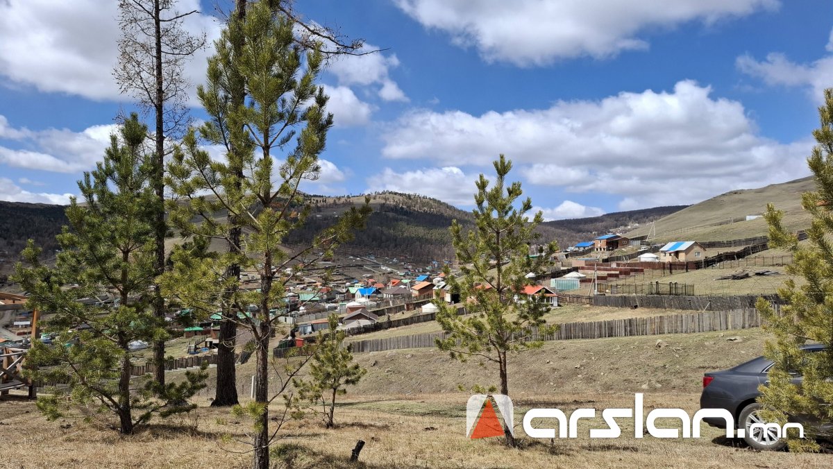 Arslan.mn