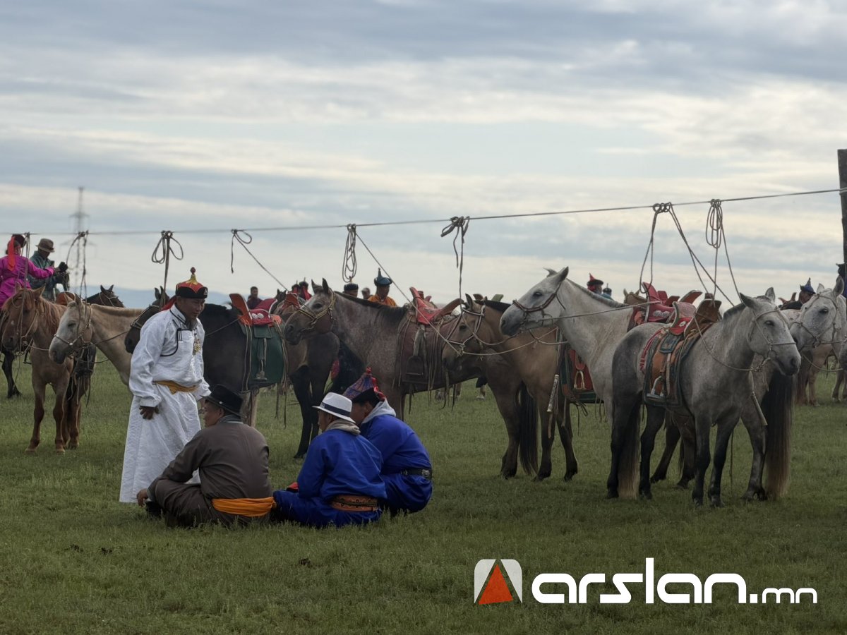 Arslan.mn