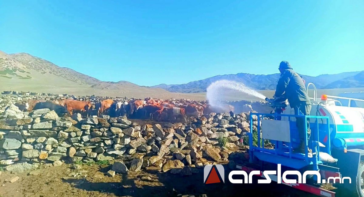 Arslan.mn