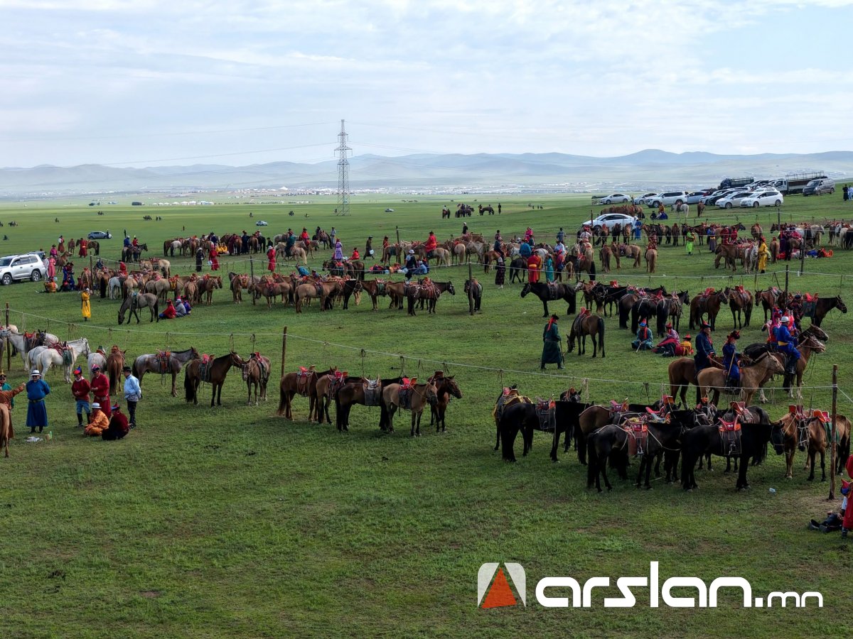 Arslan.mn