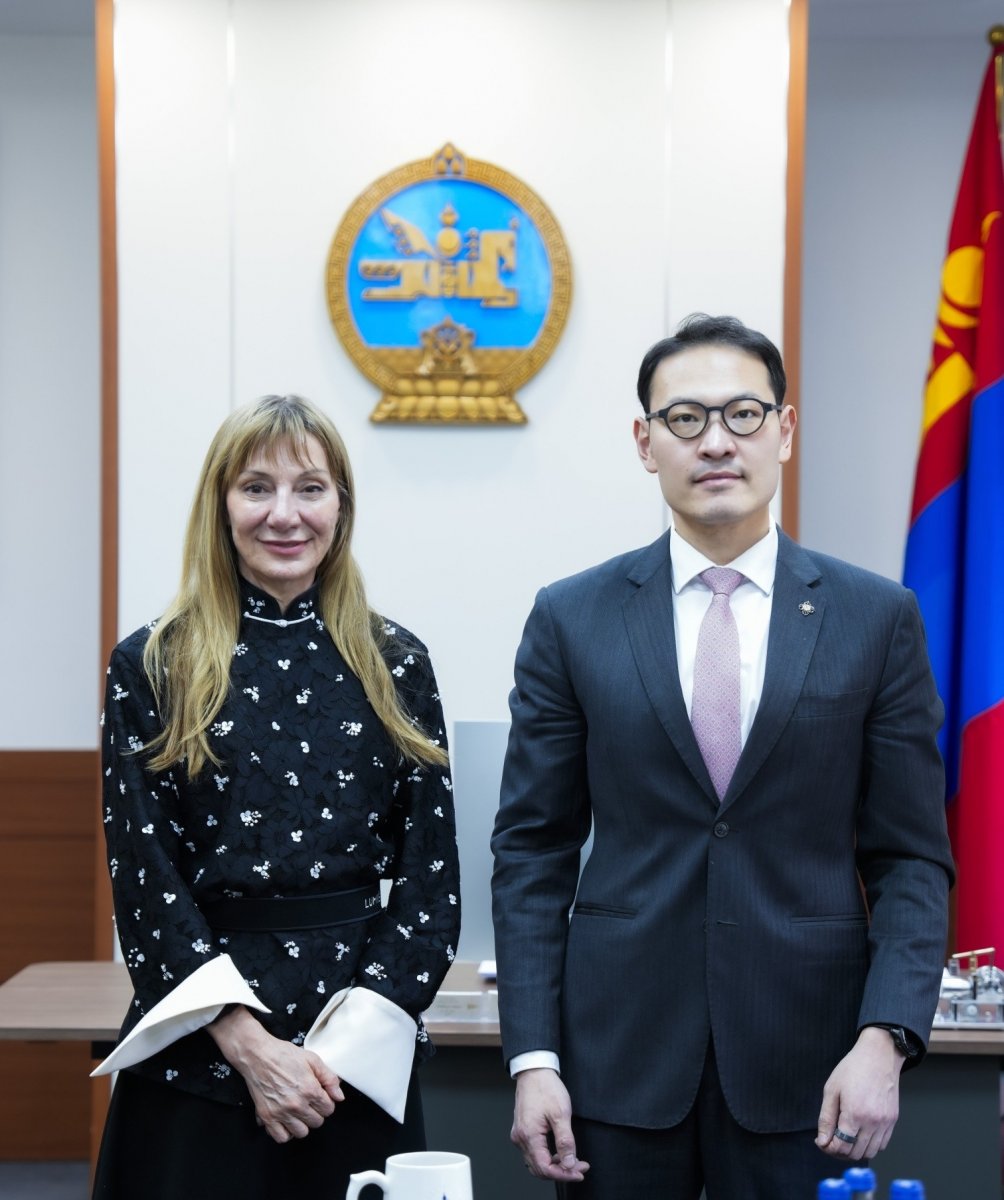 Эрүүл мэндийн сайд Э.Батшугар Суурин төлөөлөгч Матилда Димовскатай уулзаж, санал солилцлоо
