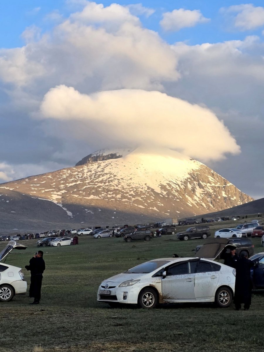 Arslan.mn