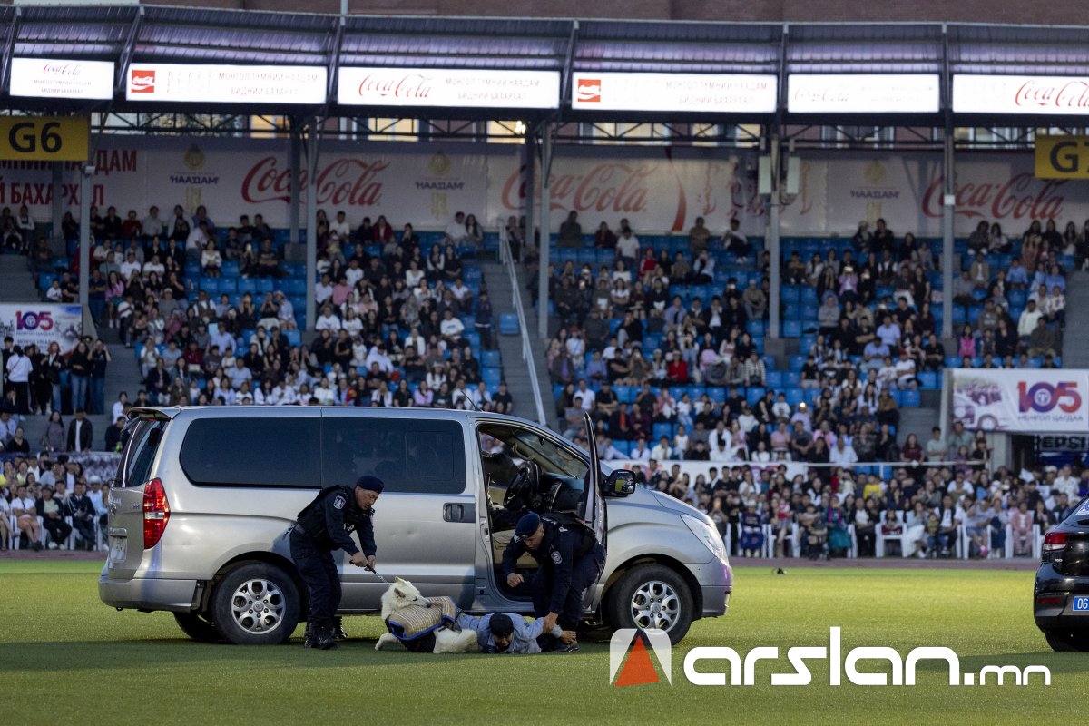 Arslan.mn