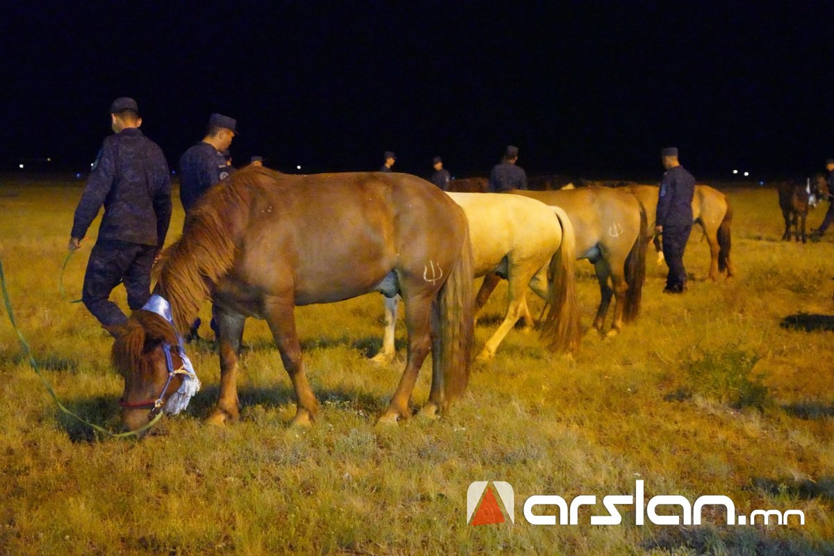 Arslan.mn