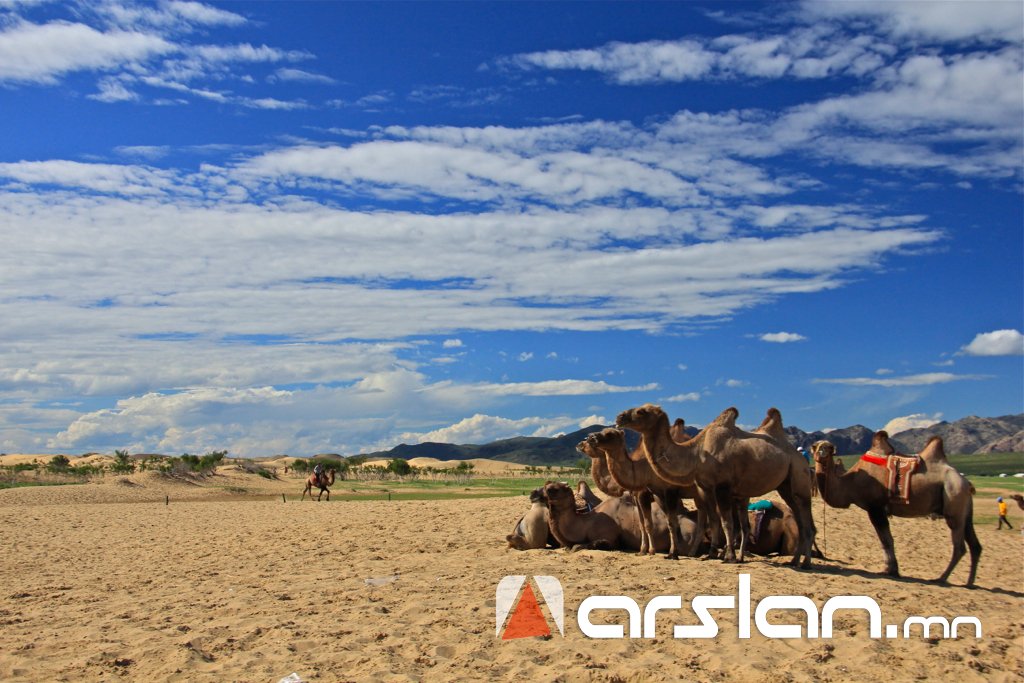 Arslan.mn
