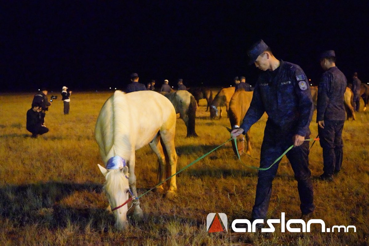 Arslan.mn