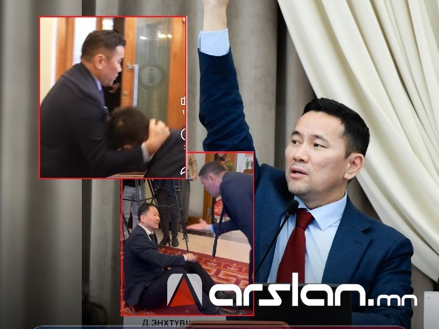 УИХ-ын гишүүн Д.Энхтүвшинг хүний эрүүл мэндэд хөнгөн хохирол санаатай учруулсан гэж үзжээ