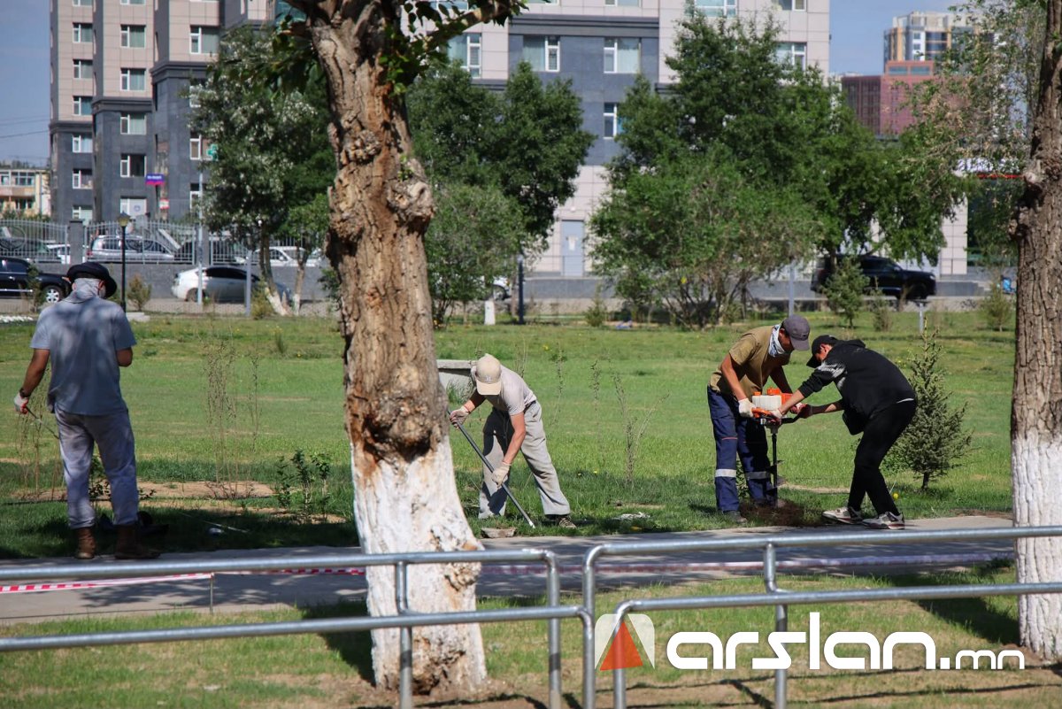 Arslan.mn