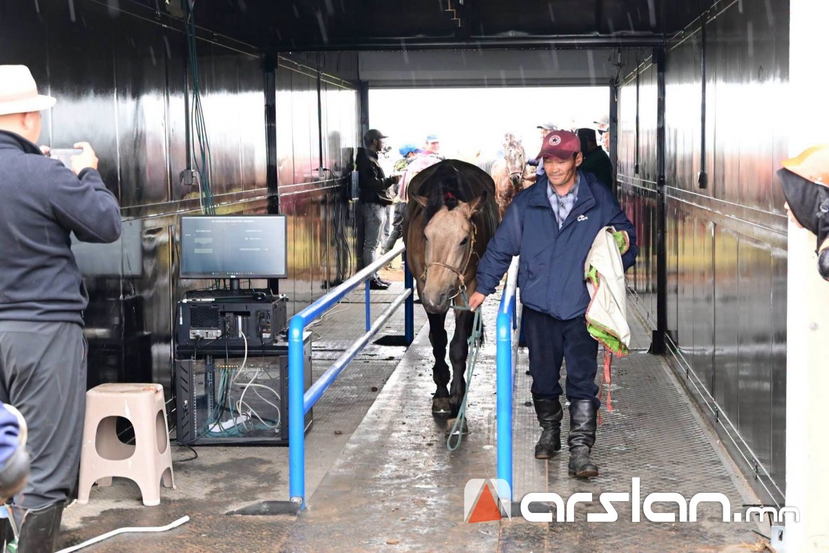 Arslan.mn