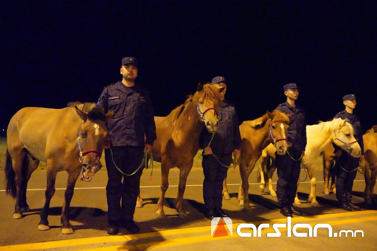 Arslan.mn