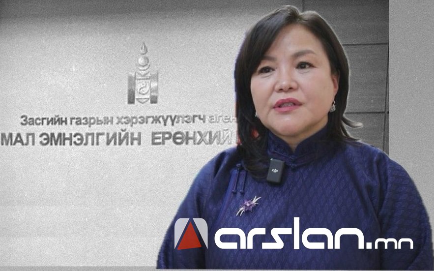 МЭЕГ-ын дарга А.Нарантуяа төсвийн ₮206 саяыг зориулалт бусаар ГАДААД ТОМИЛОЛТОД зарцуулжээ