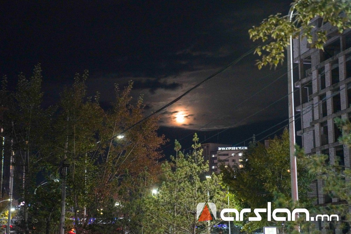 Arslan.mn
