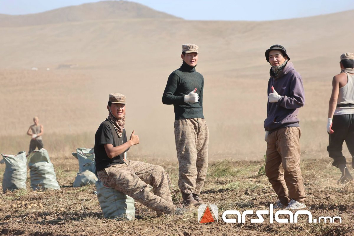 Arslan.mn