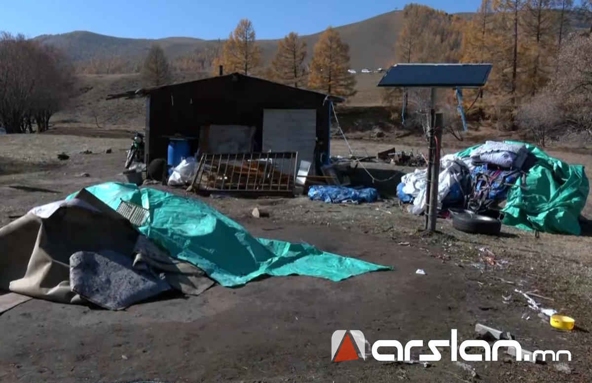 ШУУРХАЙ: БЗД-ийн 35-р хорооны айлд баавгай нэг хүнийг барьж, нэг эмэгтэйн биеийн байдал хүнд байна