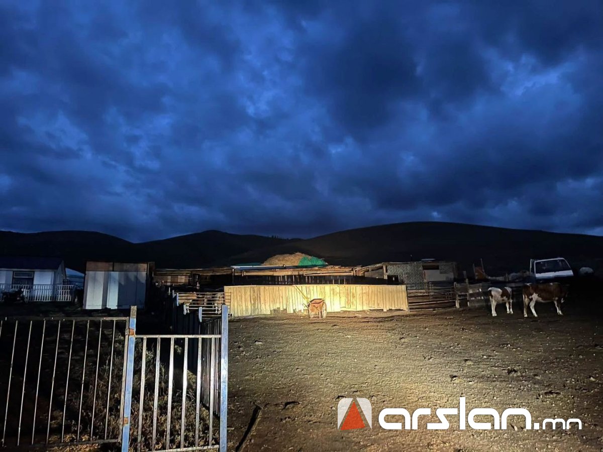 Arslan.mn
