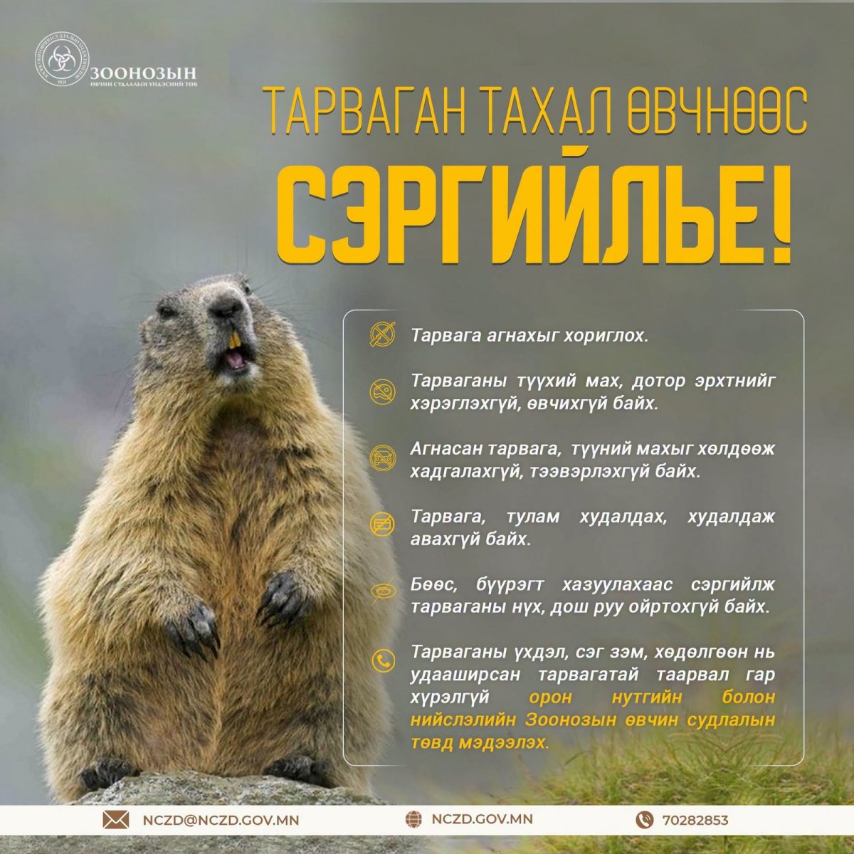 ЗӨСҮТ: Ховд аймагт бүртгэгдсэн тарваган тахлын сэжигтэй тохиолдол батлагдсан