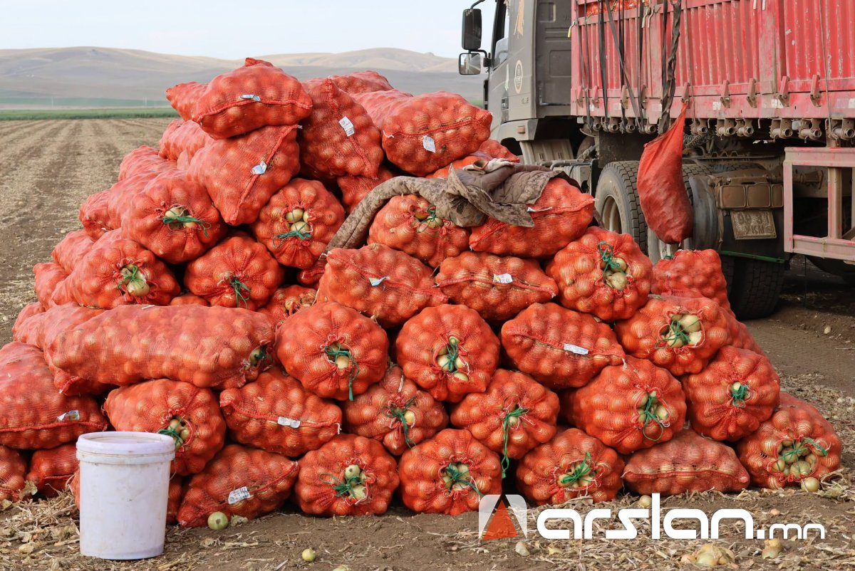 Arslan.mn