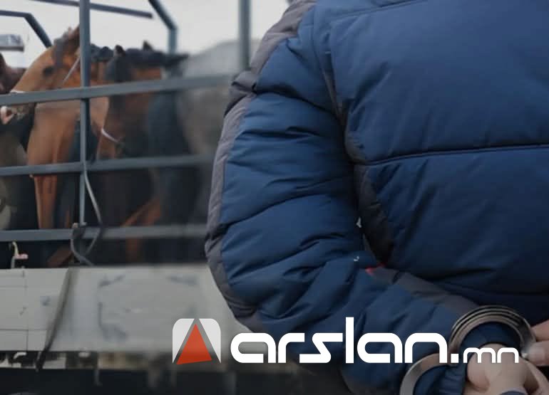 Arslan.mn