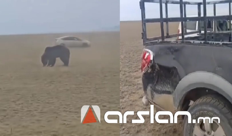 Arslan.mn