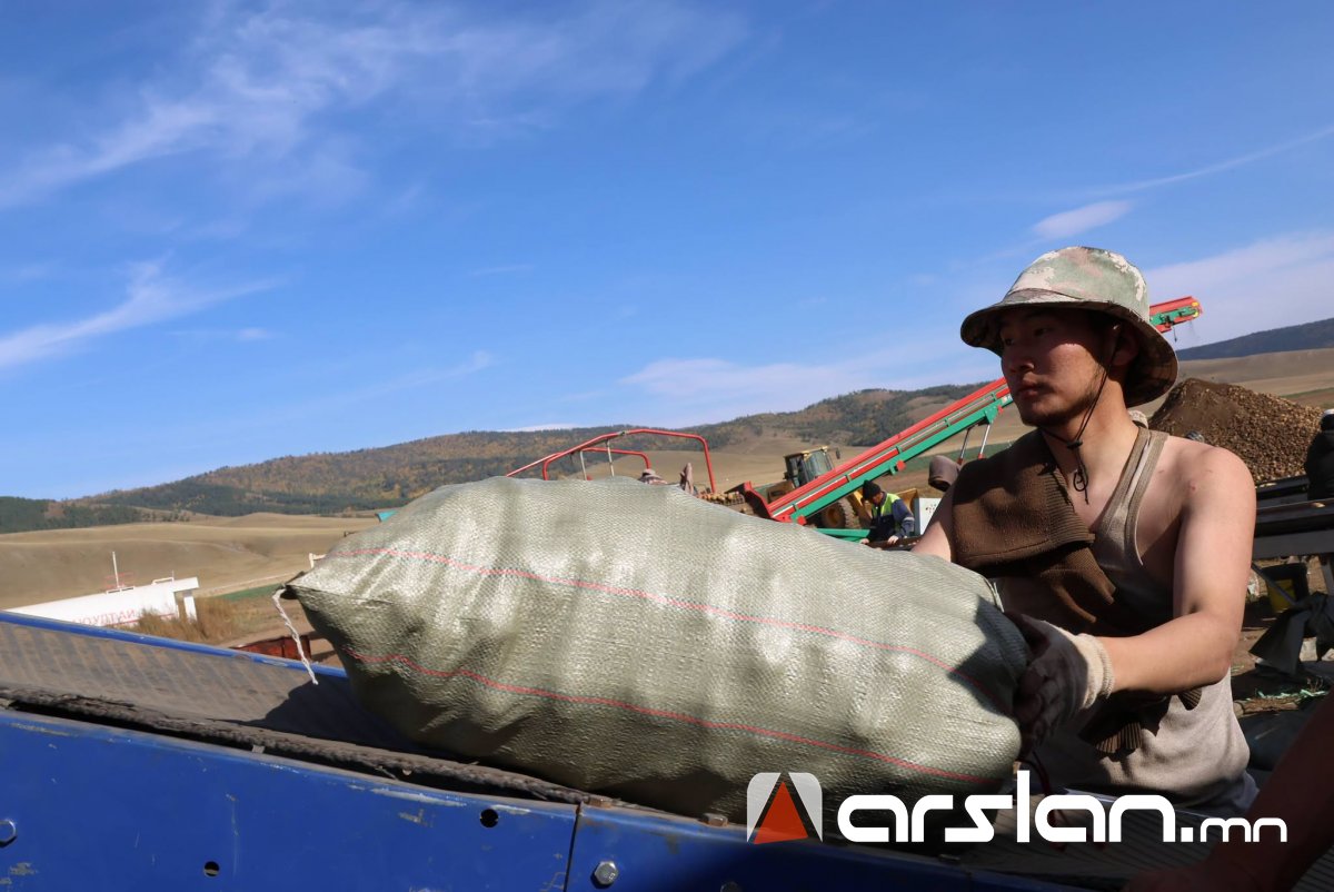 Arslan.mn