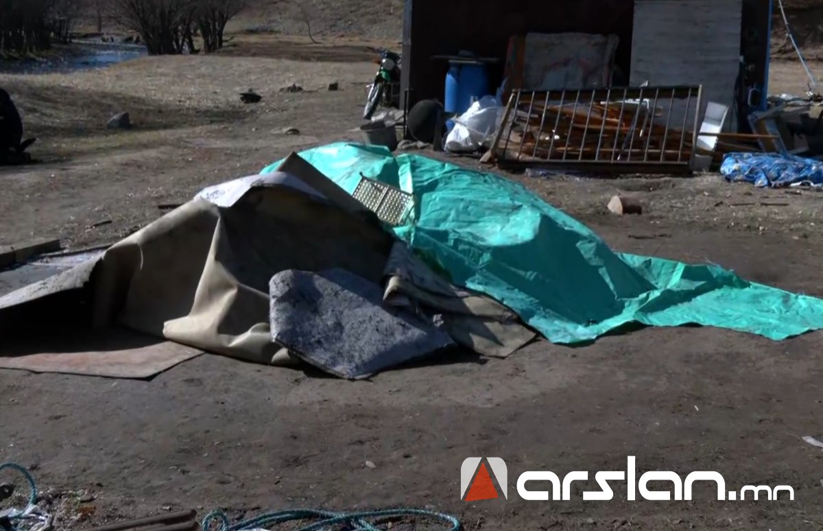 Arslan.mn